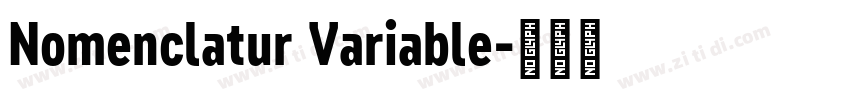 Nomenclatur Variable字体转换
